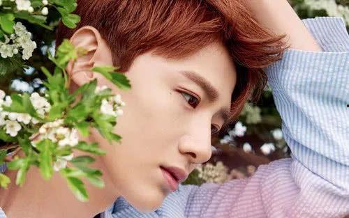 娱乐八卦每日爆料白敬亭,娱乐圈再掀波澜  第2张