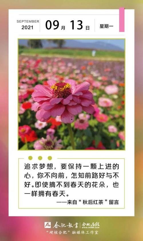 早安合肥在线观看,每日新鲜资讯，开启美好一天  第1张