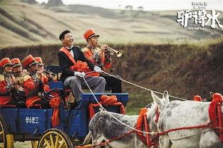 驴得水 电影在线观看,揭秘乡村教育困境的温情力作  第2张