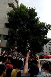 成都体院最新爆料,揭秘校园风云与体育精英养成记  第2张