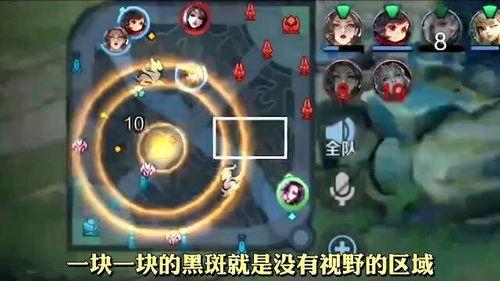 王者大爆料二哥视频下载,揭秘游戏幕后精彩瞬间