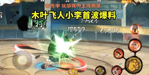 功夫小李技能爆料视频,一招制敌，身手不凡！  第2张